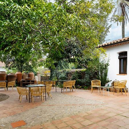 Apartamentos Turisticos El Patio Del Nogal Γουαδελούπη Εξωτερικό φωτογραφία