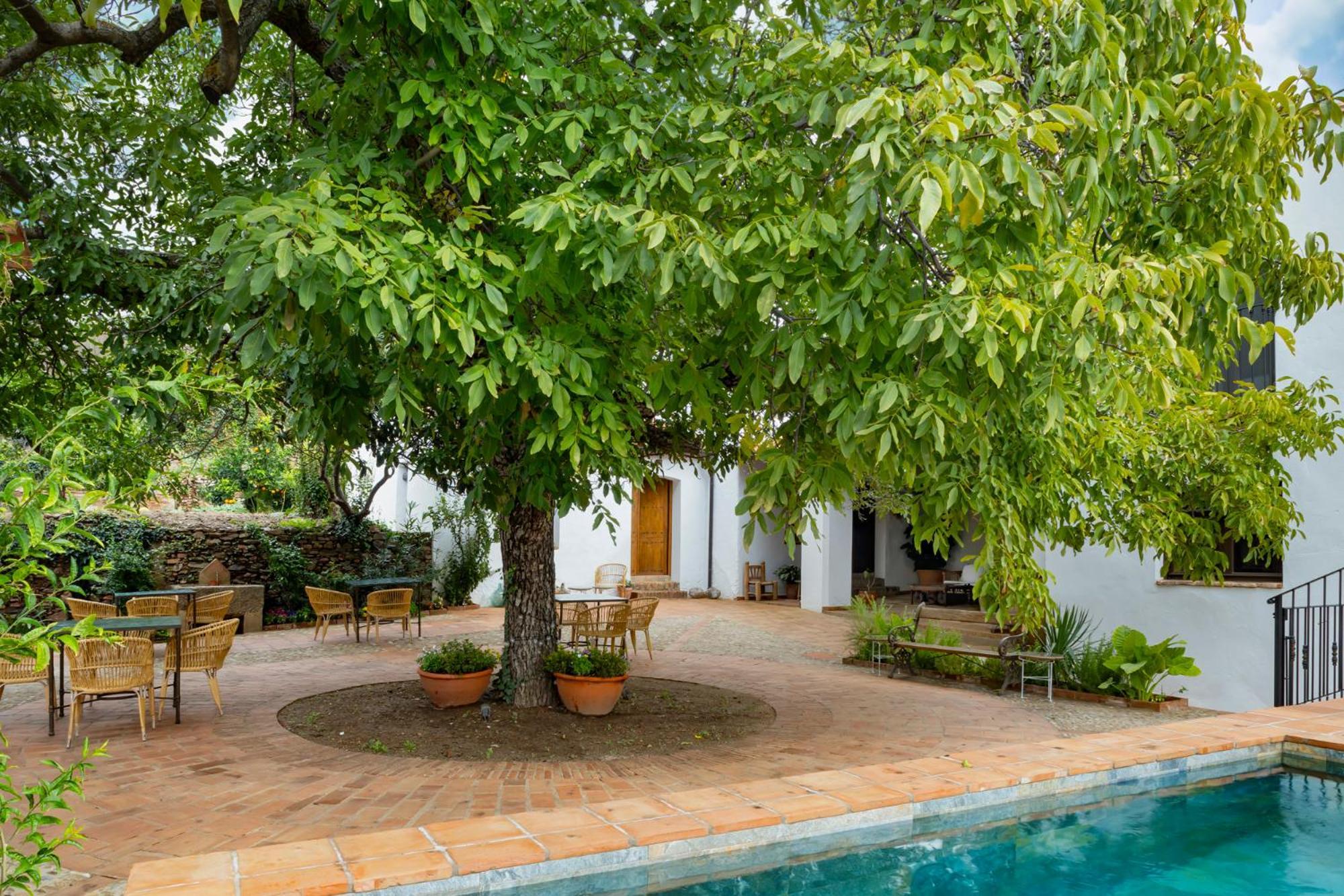 Apartamentos Turisticos El Patio Del Nogal Γουαδελούπη Εξωτερικό φωτογραφία