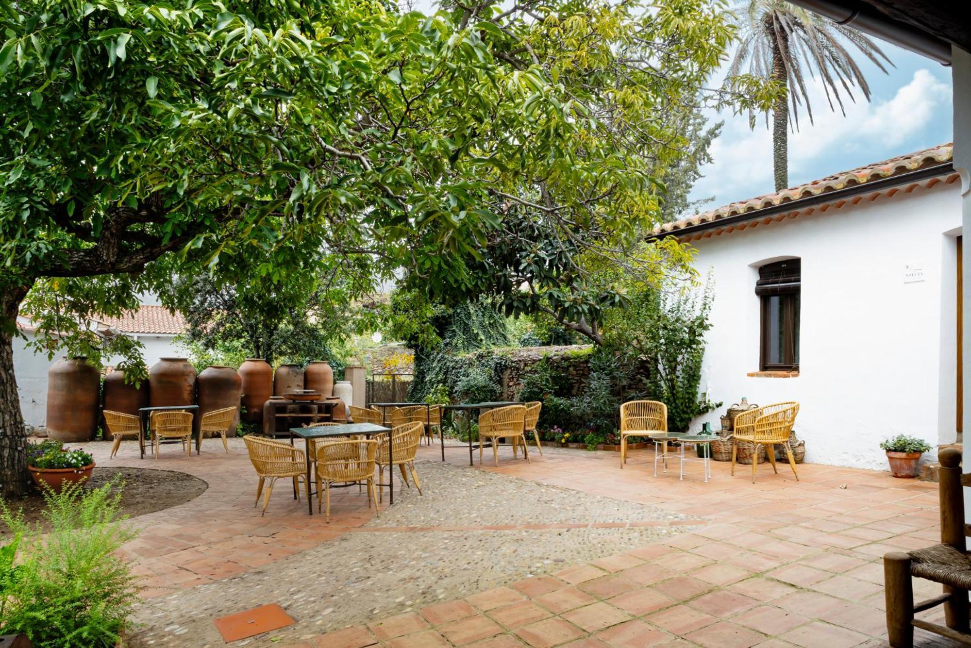 Apartamentos Turisticos El Patio Del Nogal Γουαδελούπη Εξωτερικό φωτογραφία