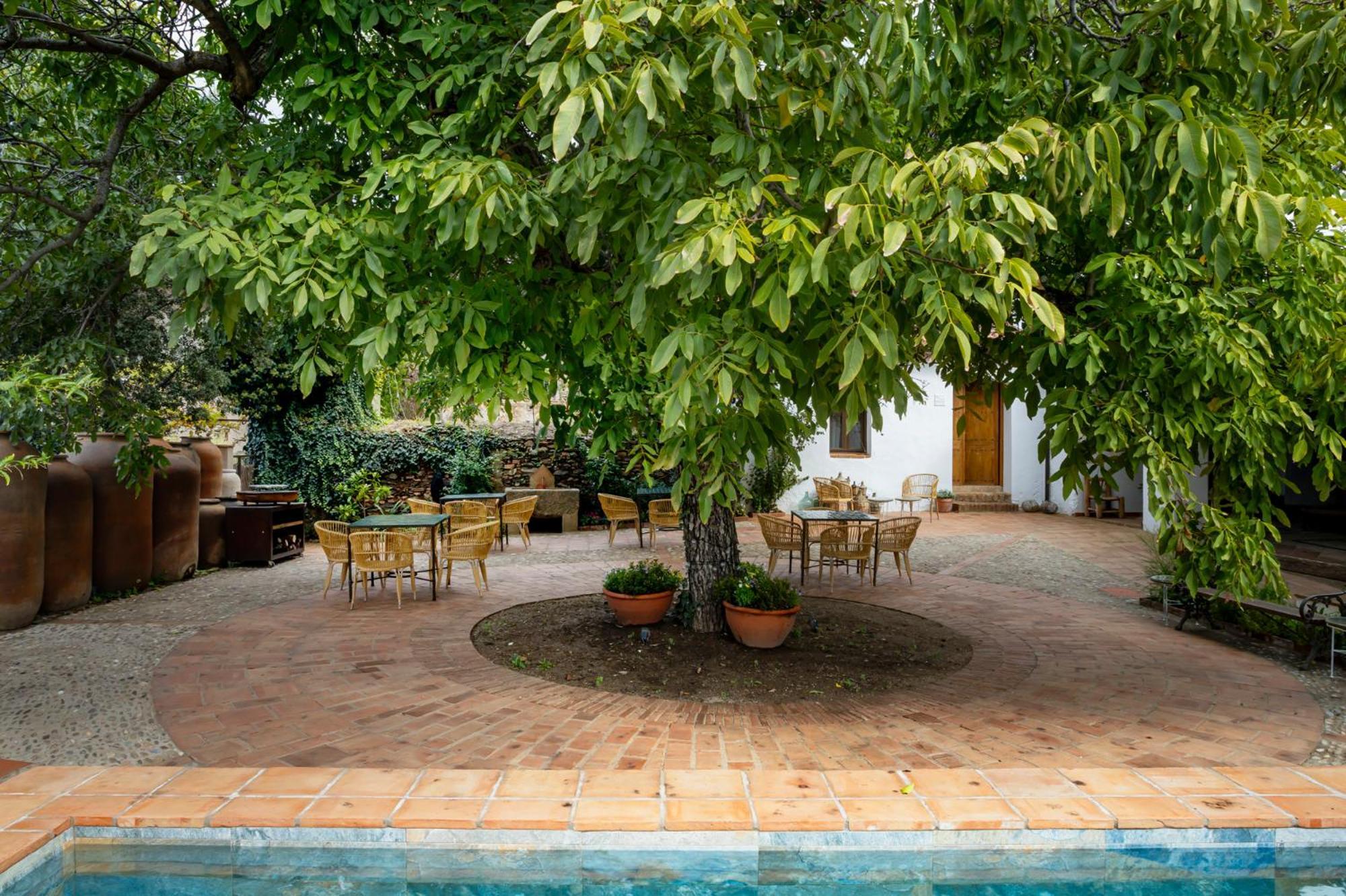 Apartamentos Turisticos El Patio Del Nogal Γουαδελούπη Εξωτερικό φωτογραφία